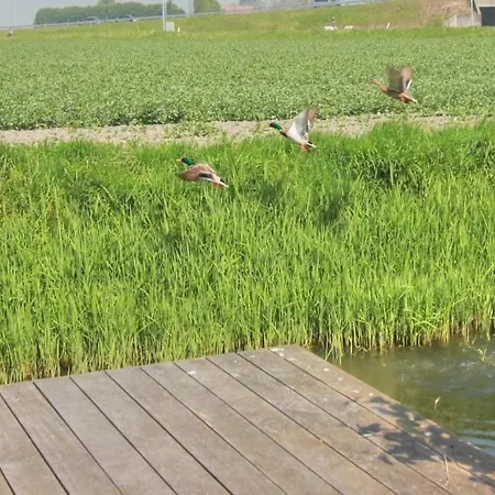 度假居 Poldernest 米德尔克尔克